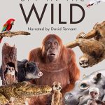 دانلود سریال Spy in the Wild